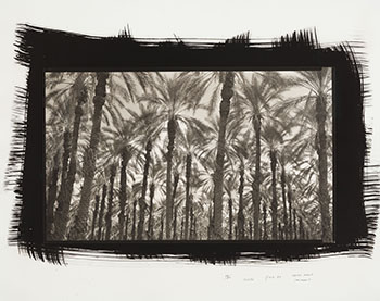 Indian Wells, California by Dick Arentz