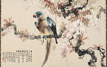 Wisteria and Parrot by Zhao Shiguang