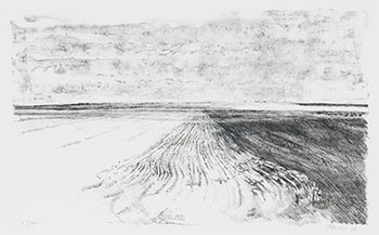 Plowed Field by Takao Tanabe
