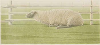 The Sheep by Christopher Pratt