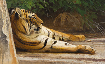 Long Thoughts, Bengal Tiger by Robert Frederick Kuhn