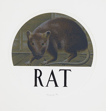 Rat par Alexander Colville