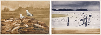 Gulls and Blue Rocks / Frog Island (00645/ 00646) by Douglas Forsythe