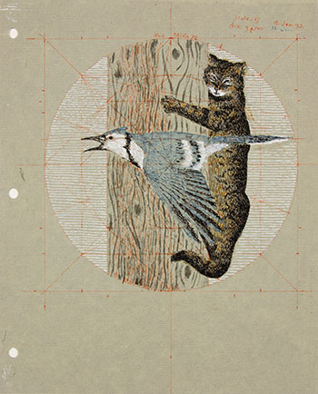 Study for Blue Jay and Cat by Alexander Colville