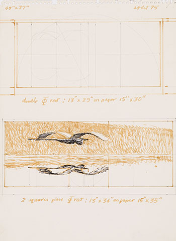 Study for Heron (AC00585) by Alexander Colville