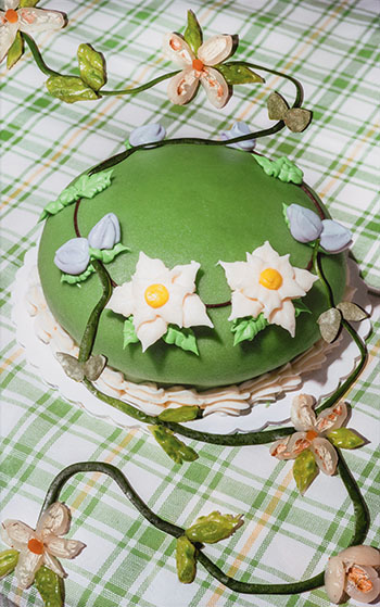 Princess Cake by Svava Tergesen