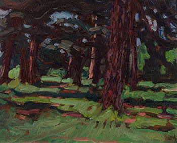 Field Pines by James Edward Hervey (J.E.H.) MacDonald