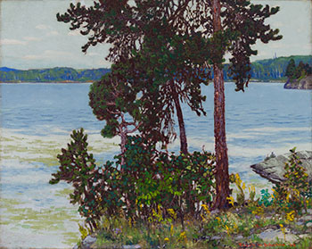 Pine Point, Lake of the Woods by Frank Hans (Franz) Johnston