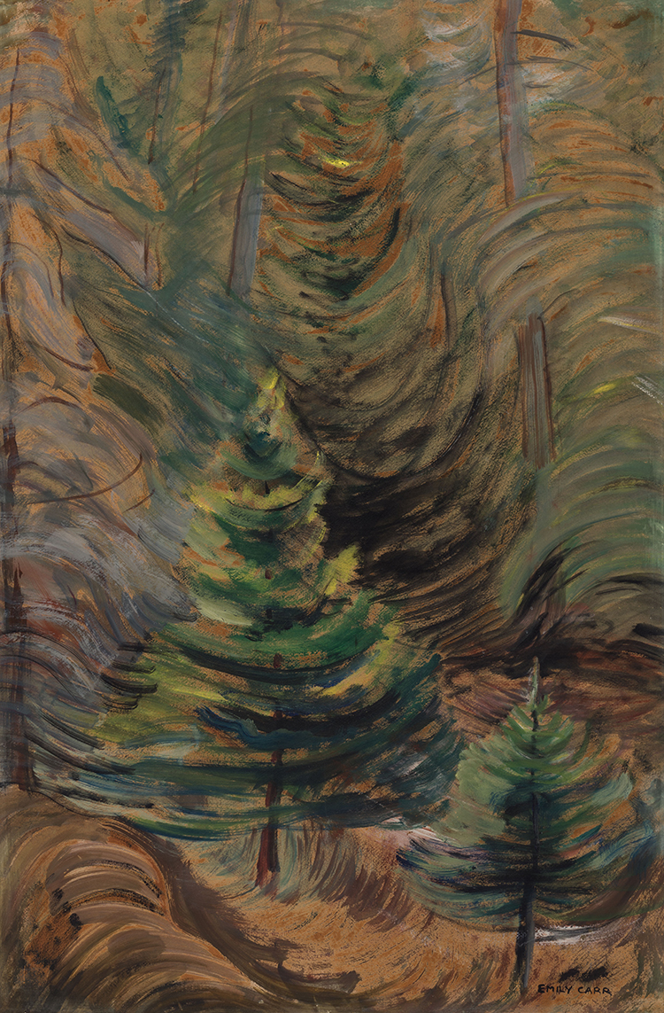Pine Tree in Forest par Emily Carr
