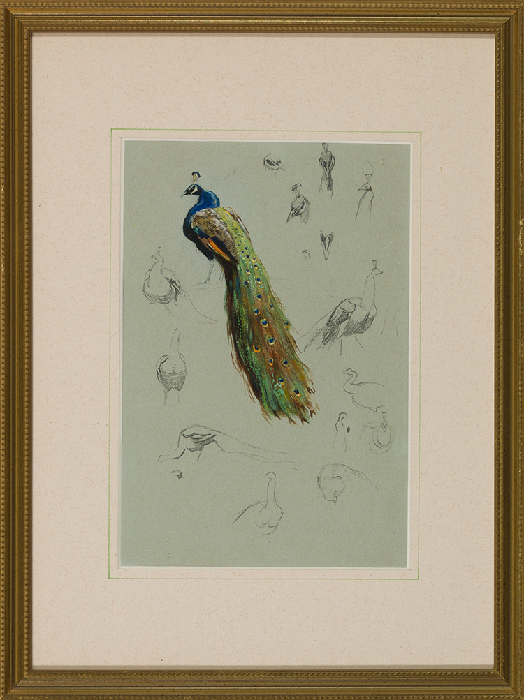 Three Bird Sketches par Horatio Walker