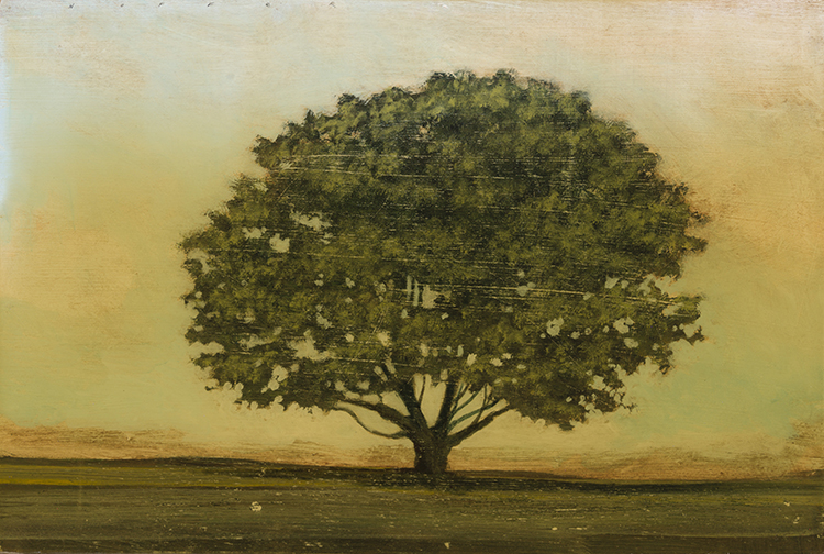 Single Tree par Peter Hoffer
