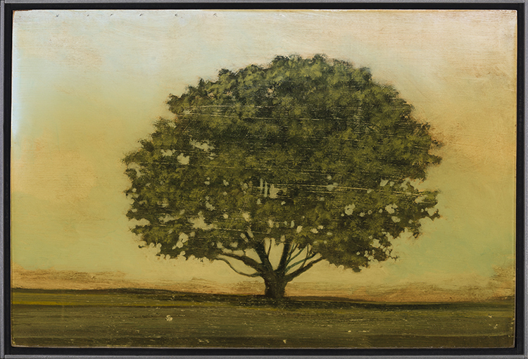 Single Tree by Peter Hoffer