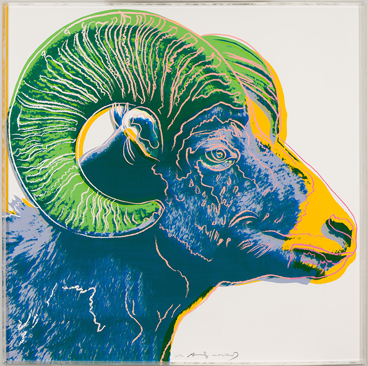 Bighorn Ram (Endangered Species) (F&S. II.302) by Andy Warhol