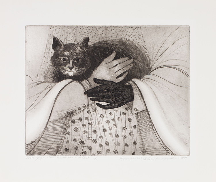Study for Lone Mummer with Cat par David Lloyd Blackwood