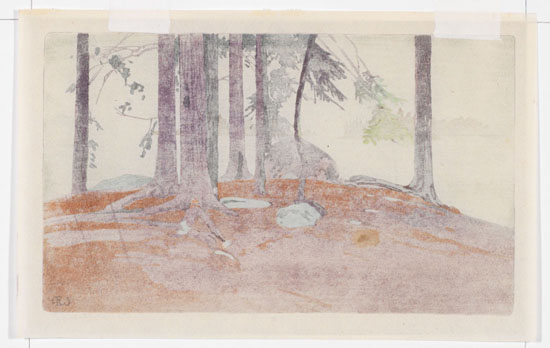 Rain, Lake of the Woods par Walter Joseph (W.J.) Phillips