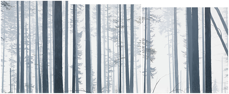Forest in Fog par Nathan Birch