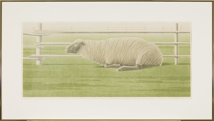 The Sheep by Christopher Pratt