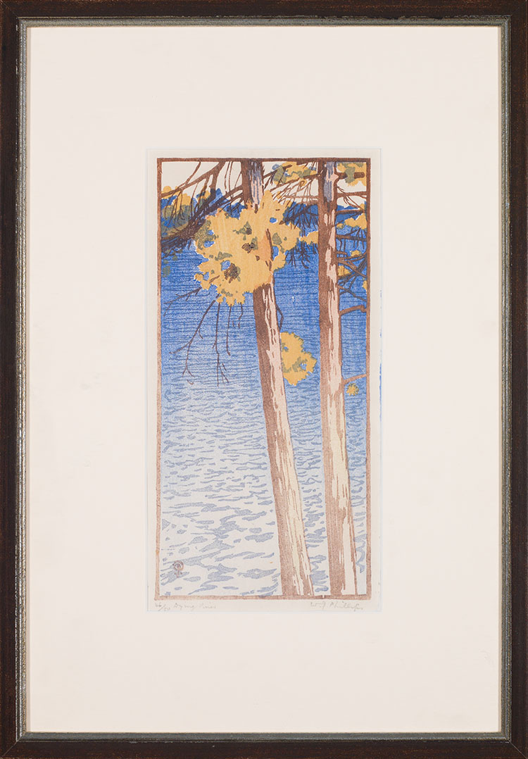 Dying Pines par Walter Joseph (W.J.) Phillips
