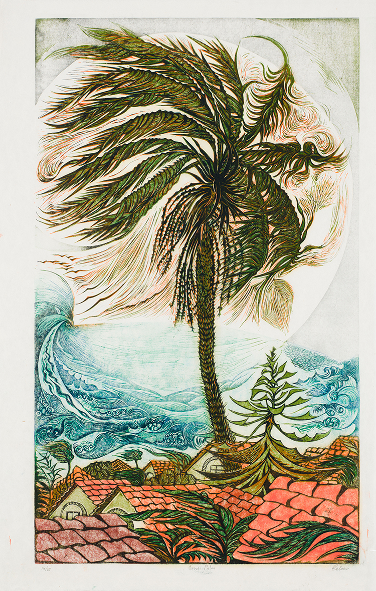 Bondi Palm by Richard Calver