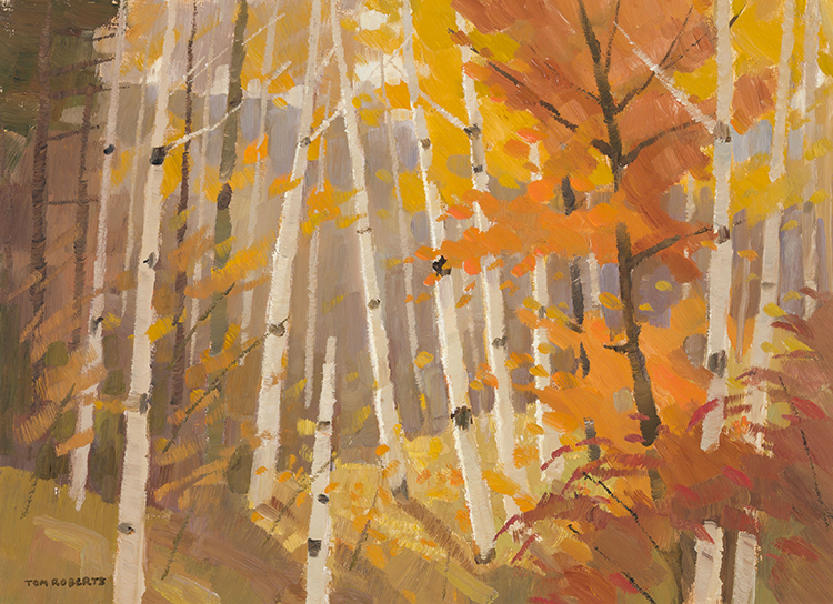 Autumn Hillside - Madawaska Valley by Tom (Thomas) Keith Roberts