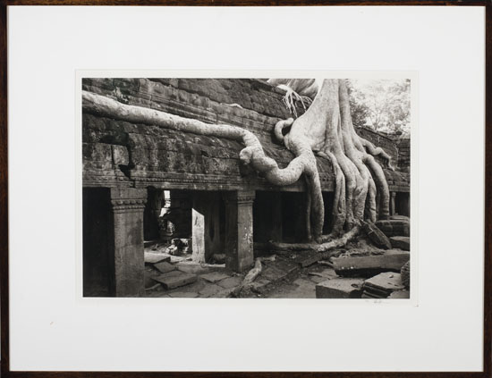 Angkor, Ta Prohm par Kenro Izu