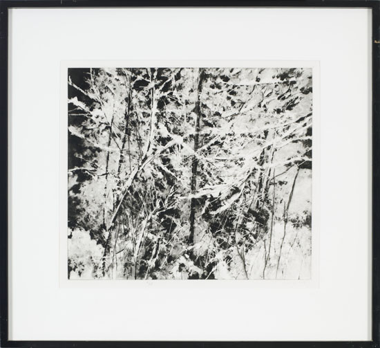 Tangled Snowscene par Gordon Appelbe Smith
