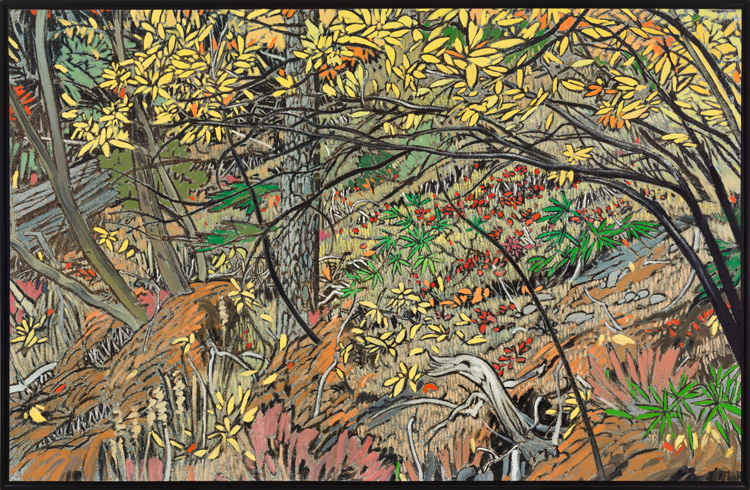 Tangled Undergrowth, Kluane par Edward William (Ted) Godwin