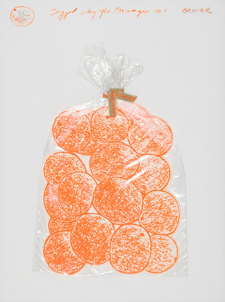 Bagged Day Glo Oranges by Iain Baxter