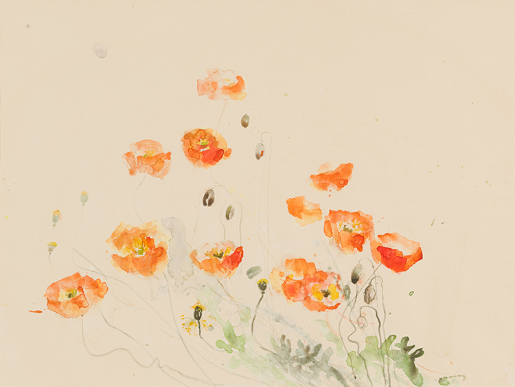 Poppies #5 par Molly Joan Lamb Bobak