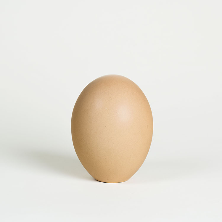 Egg by Pol Chambost