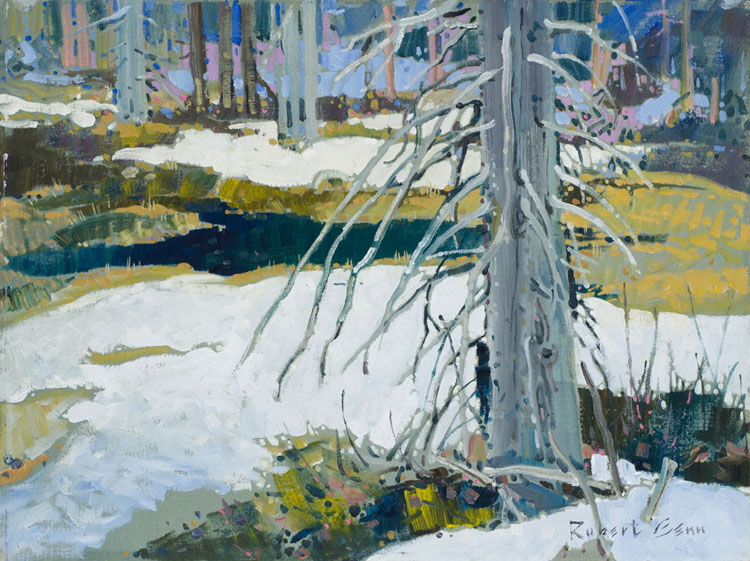 Late Forest Snow par Robert Genn
