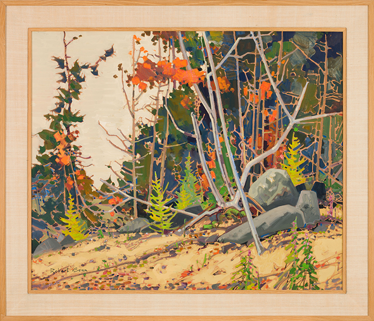 Pattern, Autumn par Robert Genn