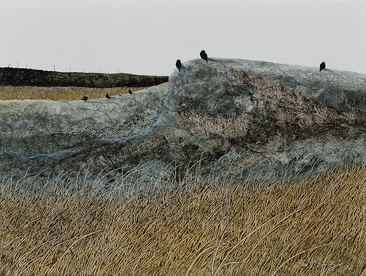 Blackbirds on Granite by Ken Kirkby