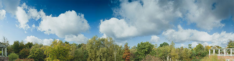 Hill Garden Pergola, Looking Towards West Heath par Scott McFarland