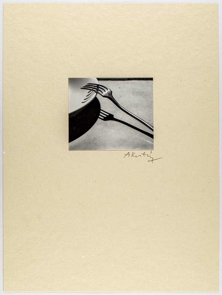 A Portfolio of Ten Prints, 1981 by André Kertész