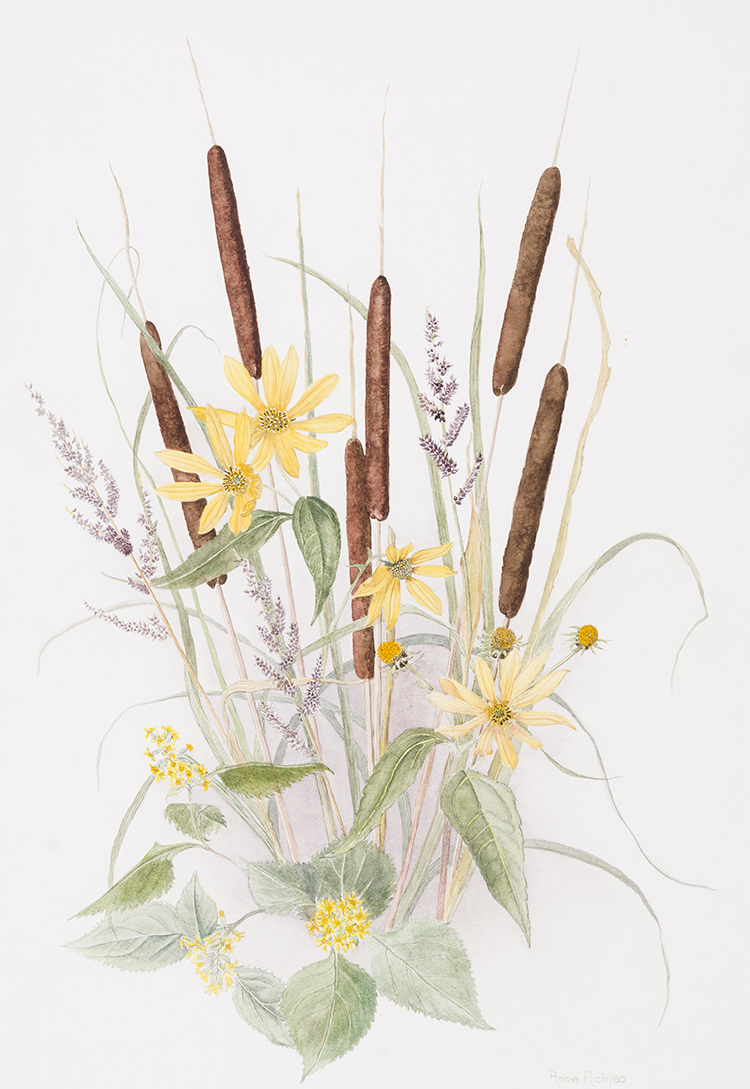Wildflowers par Anne E. Rich
