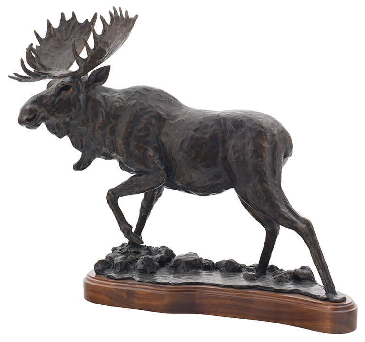 Startled Bull Moose par Peter Sawatzky