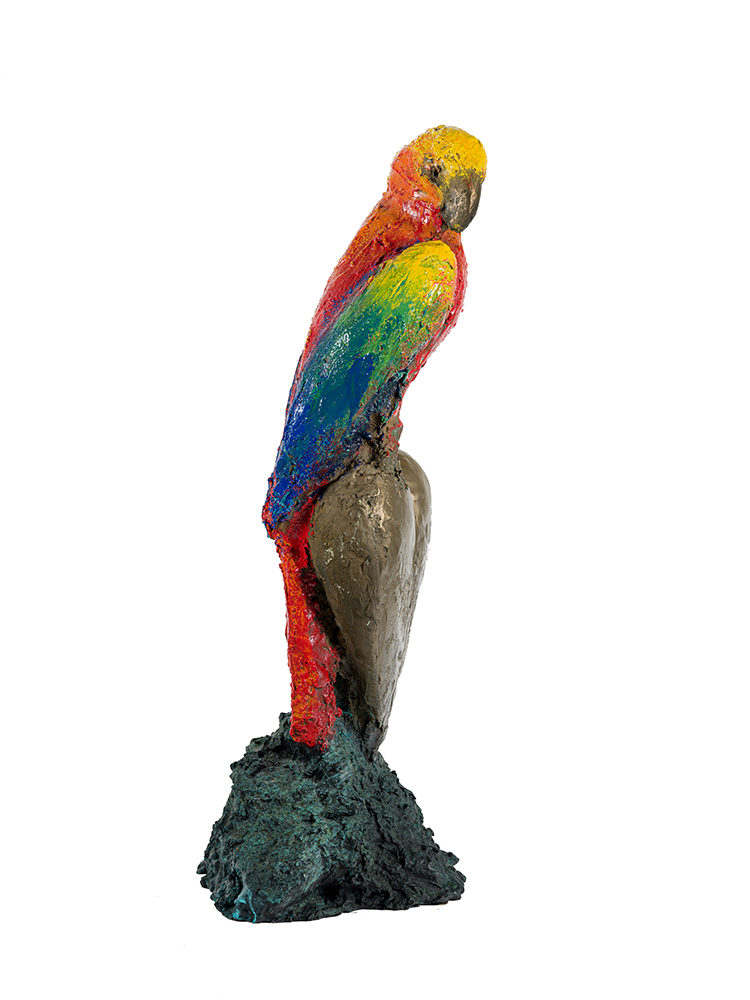 Smaller Parrot at Home by Jim Dine