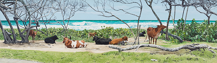 Cattle at Cattlewash par Darla Trotman