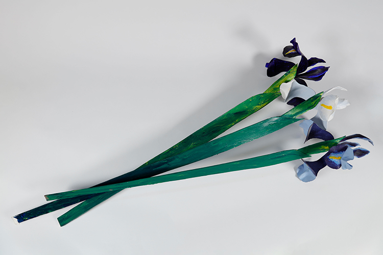 Three Irises by Rob Wilson