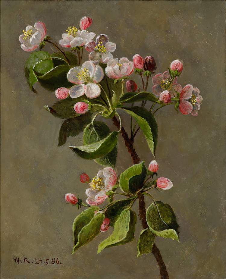 Still Life with Blossoms par William Raphael