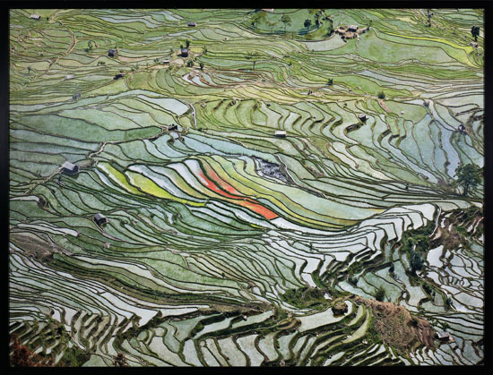 Rice Terraces #2, Western Yunnan Province, China, 2012 par Edward Burtynsky