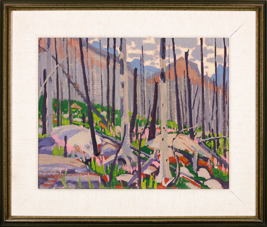 Fireweed and Burnt Timber, Storm Mountain by Illingworth Holey Kerr