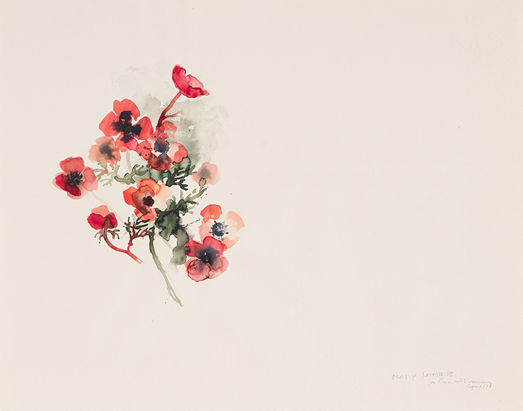 Poppies on White by Molly Joan Lamb Bobak