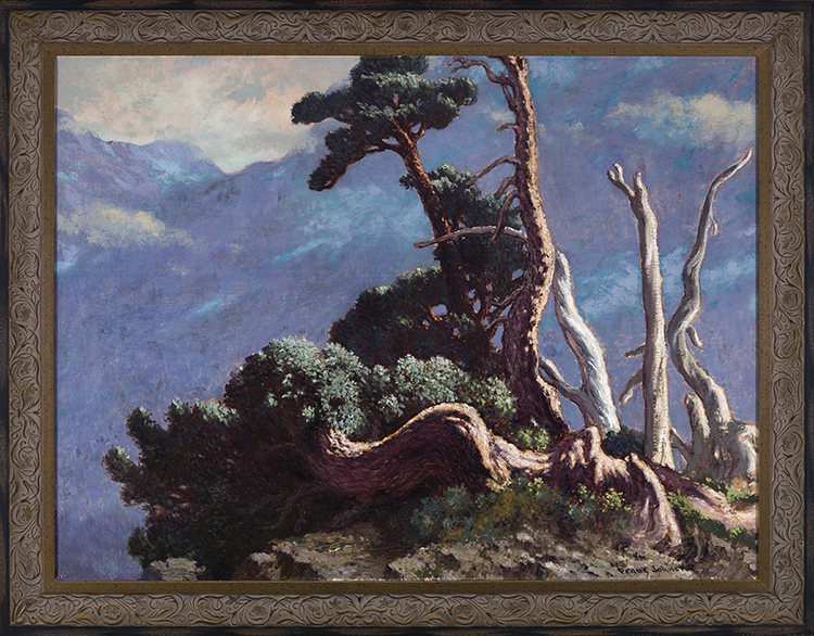 Timberline by Frank Hans (Franz) Johnston