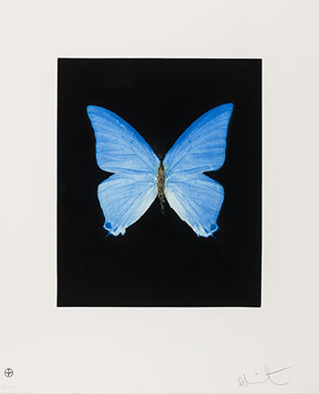 Providence (from the Butterfly Portfolio) by Damien Hirst sold for $5,000
