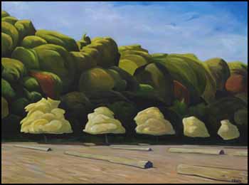 Spanish Banks by Ross Penhall