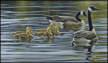 Canada Geese with Young by Robert Bateman sold for $29,500