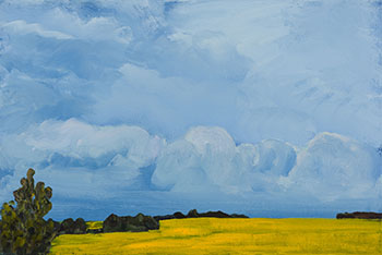 Evening Sky over Canola by Greg Hardy sold for $5,000
