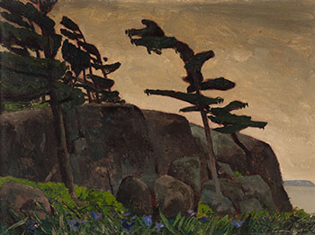 Rock Form with Iris by Charles Fraser Comfort sold for $6,875